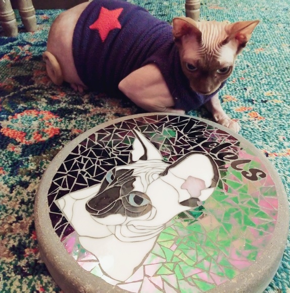 are you having your best day possible? - Picture 14 of 15